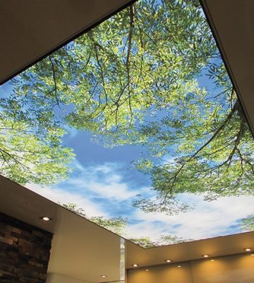 Lichtdecke-Druck-Wald_VOCIL Lichtdecke-Druck