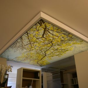Lichtfeld bedruckt